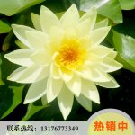 ~(y)_(ti)h־ɏźNֲ(chng)