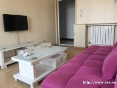 V b 11d Px ȫ׼Ҿ߼ 挍DƬ